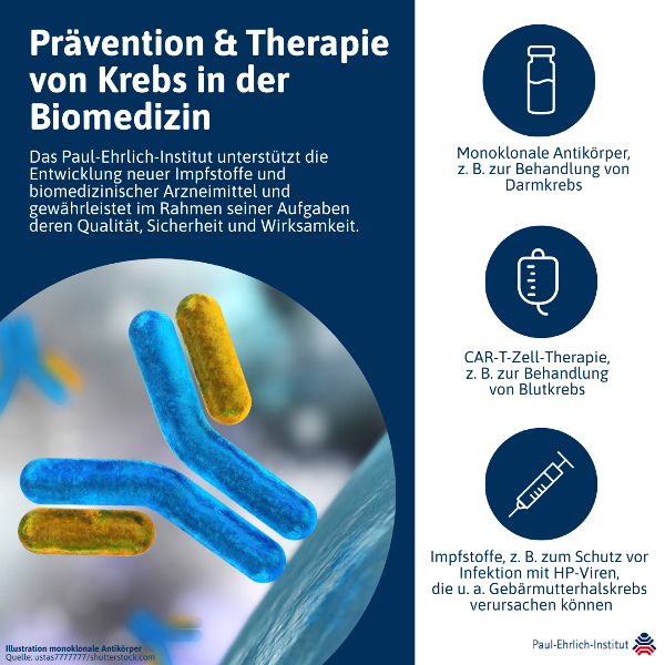 Infografik: Präventation & Therapie von Krebs in der Biomedizin (verweist auf: Prävention & Therapie von Krebs in der Biomedizin)