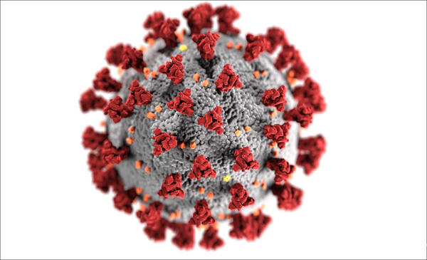 refer to: FAQ Coronavirus Coronavirus Illustration (SARS-CoV-2) (Source: CDC/Alissa Eckert, MS; Dan Higgins, MAMS) (refer to: FAQ Coronavirus)