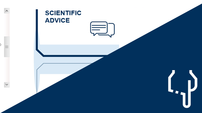 refer to: Role of the Paul-Ehrlich-Institut Tasks of the Paul-Ehrlich-Institut on the Vaccine Pathway - Infographic (refer to: Role of the Paul-Ehrlich-Institut)