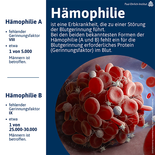 Infografik Welthämophilietag 2023 (verweist auf: Hämophilie)