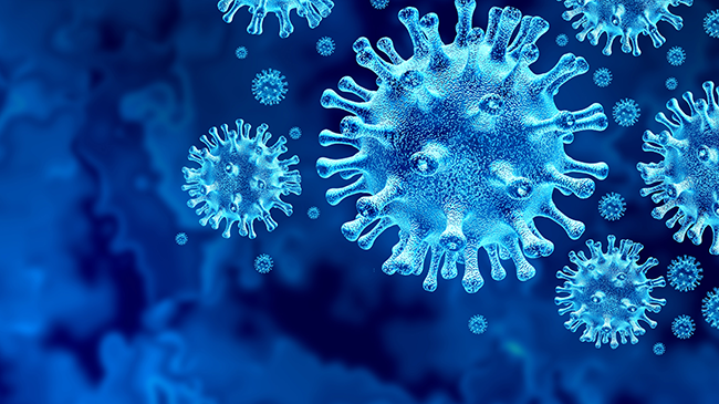 Coronavirus 3D-Modell (Quelle: Lightspring/Shutterstock.com)