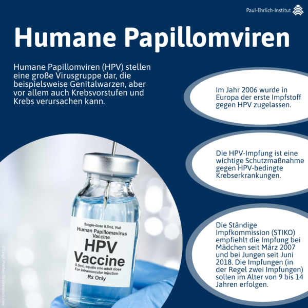 verweist auf: Humane Papillomviren Infografik: Humane Papillomviren. (verweist auf: Humane Papillomviren)