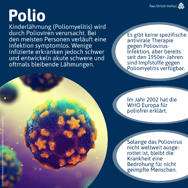 verweist auf: Polio Infografik: Polio (verweist auf: Polio)