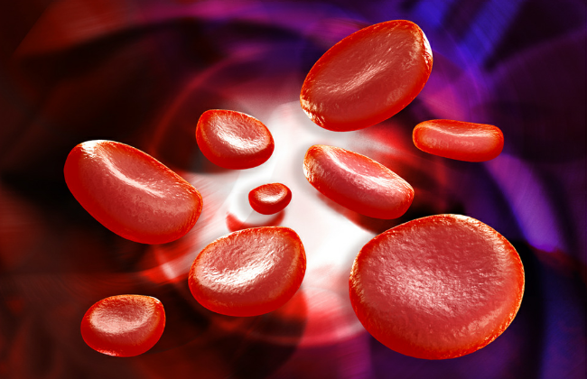 Red Blood Cells (Source: liya graphics/shutterstock.com) Red Blood Cells (Source: liya graphics/shutterstock.com)