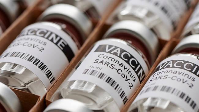 COVID-19 Vaccines (Source: MFoto/Shutterstock.com) COVID-19 Vaccines (Source: MFoto/Shutterstock.com)