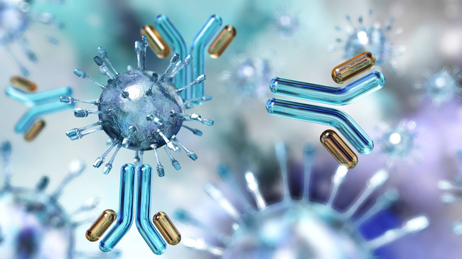 Antibodies and Viruses (Source: ustas777777/Shutterstock.com) Antibodies and Viruses (Source: ustas777777/Shutterstock.com)