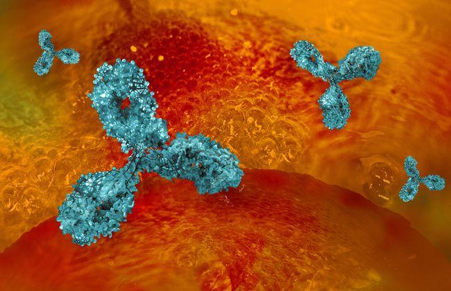 Monoclonal Antibodies (Source: GettyImages) Monoclonal Antibodies (Source: GettyImages)