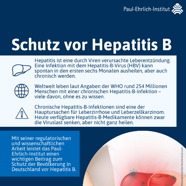 verweist auf: Schutz vor Hepatitis B Infografik Schutz vor Hepatitis B (verweist auf: Schutz vor Hepatitis B)