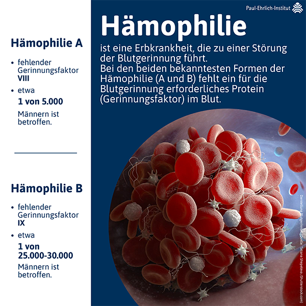 verweist auf: Hämophilie Infografik Welthämophilietag 2023 (verweist auf: Hämophilie)